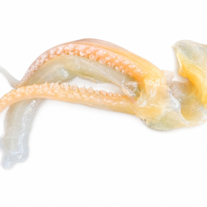 Cutterfish Head 鱿鱼头