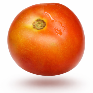 Tomato 番茄