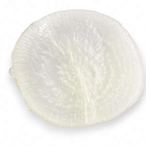 White Carrot 白萝卜