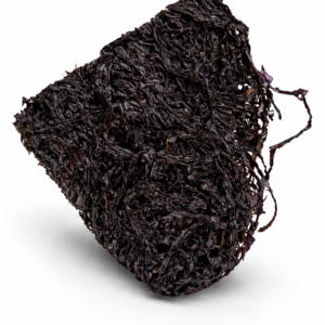 Seaweed 紫菜